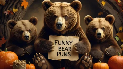 Funny Bear Puns